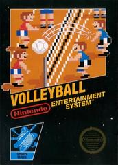 Volleyball - NES 